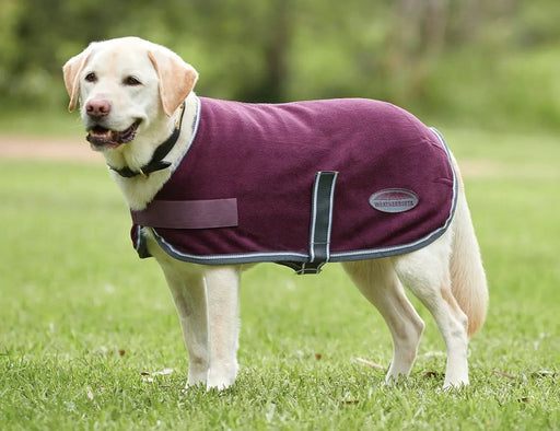 WeatherBeeta Dog coats WeatherBeeta ComFiTec Fleece Dog Coat WeatherBeeta ComFiTec Fleece Dog Coat