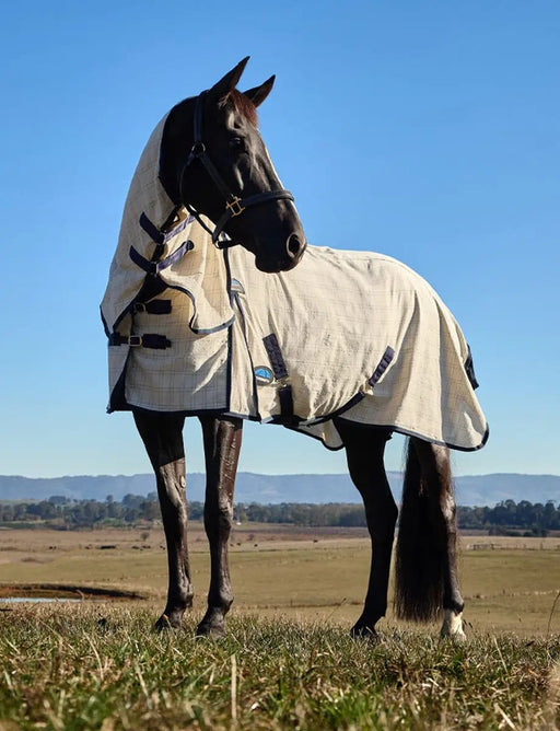WeatherBeeta Combos WeatherBeeta Cotton Summer Sheet Lite Combo WeatherBeeta Cotton Summer Sheet Lite Combo