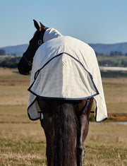 WeatherBeeta Combos WeatherBeeta Cotton Summer Sheet Lite Combo WeatherBeeta Cotton Summer Sheet Lite Combo
