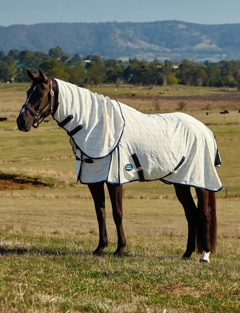 WeatherBeeta Combos WeatherBeeta Cotton Summer Sheet Lite Combo WeatherBeeta Cotton Summer Sheet Lite Combo