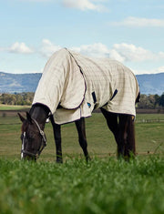 WeatherBeeta Combos WeatherBeeta Cotton Summer Sheet Combo WeatherBeeta Cotton Summer Sheet Combo
