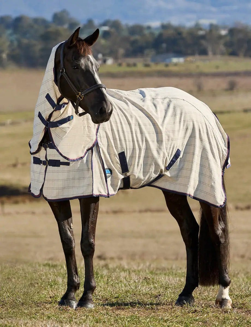 WeatherBeeta Combos WeatherBeeta Cotton Summer Sheet Combo WeatherBeeta Cotton Summer Sheet Combo