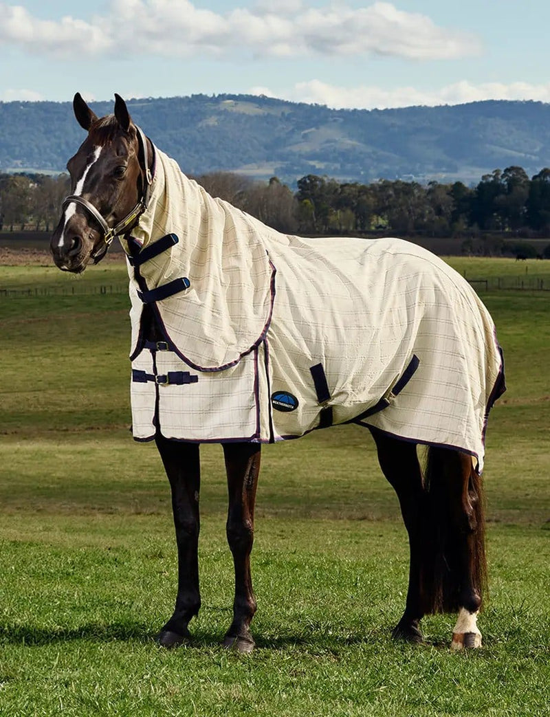 WeatherBeeta Combos WeatherBeeta Cotton Summer Sheet Combo WeatherBeeta Cotton Summer Sheet Combo