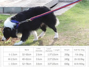 LARGE BLUE&RED Strong Dog Leash Climbing Rope Threaded Pet Training – view 2