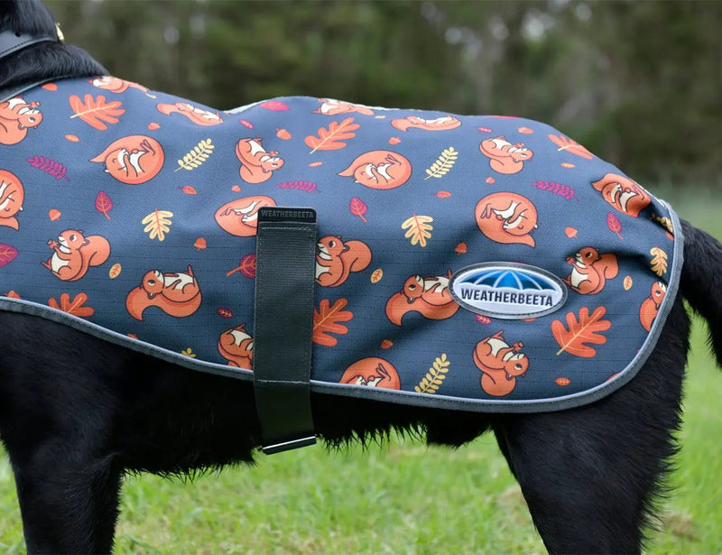 WeatherBeeta Clearance WeatherBeeta ComFiTec Premier Free Parka Dog Coat Medium WeatherBeeta ComFiTec Premier Free Parka Dog Coat Medium