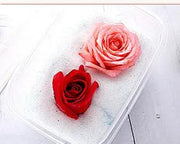 Silica Gel Flower Drying Crystals Indicator – view 5