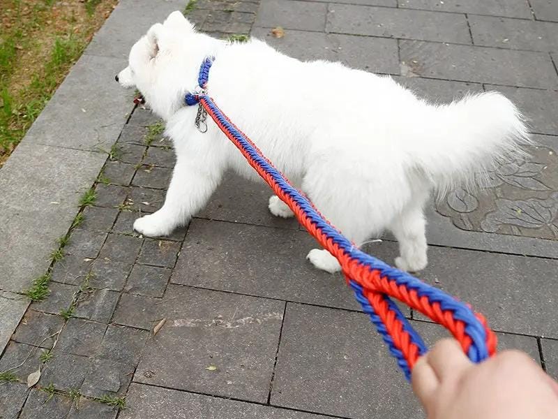 LARGE BLUE&RED Strong Dog Leash Climbing Rope Threaded Pet Training – view 1
