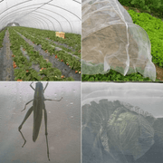 salelink.co.nz Unbranded 2.5 x 10M Crop Mesh Net 2.5x10M White Crop Mesh Net For Insects Birds
