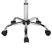 Yaheetech 3852363518710171884 Salon Stool 3852363518710171884 Salon Stool
