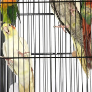 Yaheetech H145cm Open Top Metal Parrot Cage Bird Cage H145cm Open Top Metal Parrot Cage Bird Cage