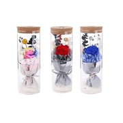salelink.co.nz Unbranded Rose LED Light Romantic Rose LED Light in Glass Cover Night Light
