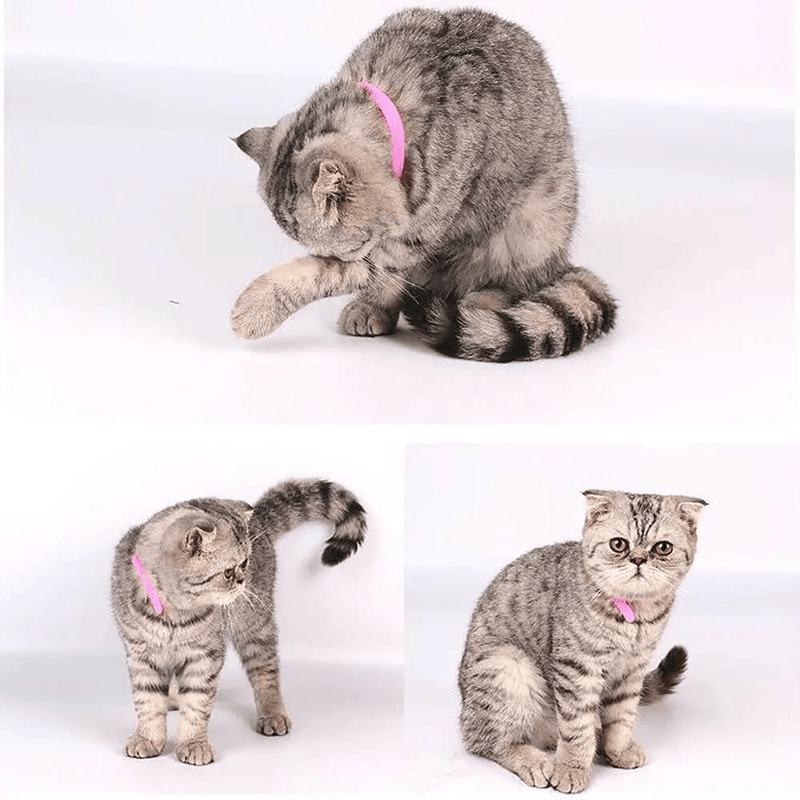 salelink.co.nz Unbranded 12 Colours Pet Whelping ID Collar Bands 12 Colors Whelping ID Collar Bands for Pets