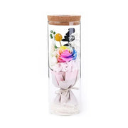 salelink.co.nz Unbranded Rose LED Light Romantic Rose LED Light in Glass Cover Night Light