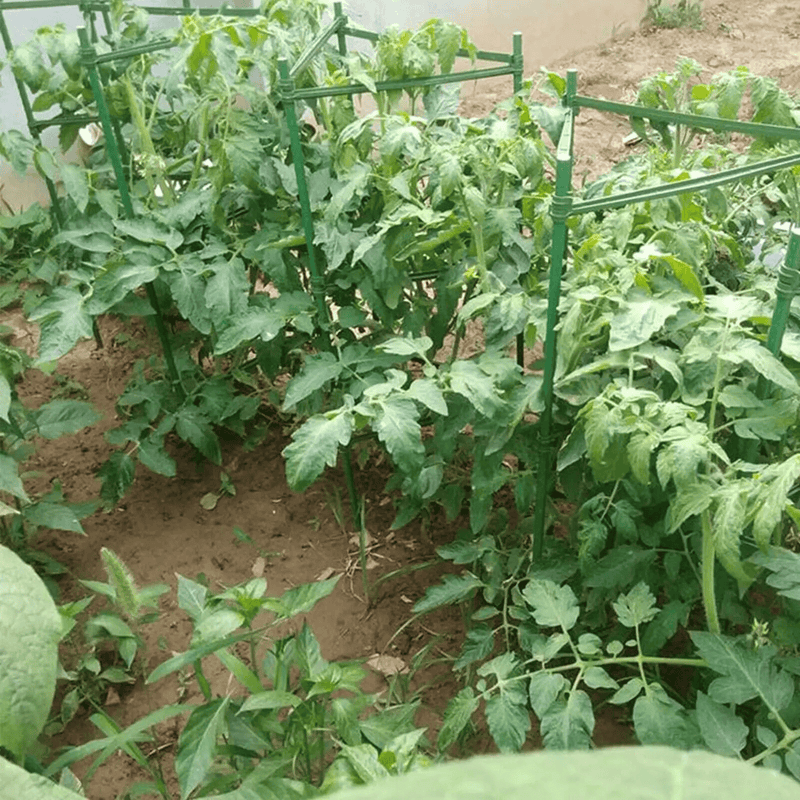 salelink.co.nz Unbranded Plant Support Stake Tomato Cage Plant Support Stake Tomato Cage | Action Outdoors NZ