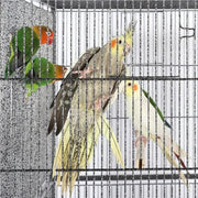 Yaheetech 63’’H Large Parrot Cage w/ Stand Rolling Metal Pet Cage 63’’H Large Parrot Cage w/ Stand Rolling Metal Pet Cage