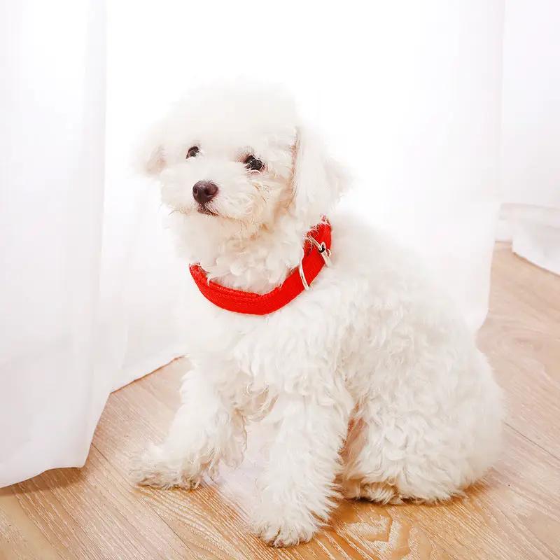 dealonline.co.nz dealonlinenz Nylon Dog Collar Multi Colours 4 * 70CM Nylon Dog Collar Multi Colours 4 * 70CM