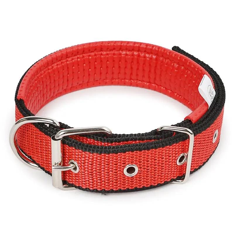 dealonline.co.nz dealonlinenz Nylon Dog Collar Multi Colours 4 * 70CM Nylon Dog Collar Multi Colours 4 * 70CM