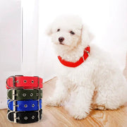dealonline.co.nz dealonlinenz Nylon Dog Collar Multi Colours 4 * 70CM Nylon Dog Collar Multi Colours 4 * 70CM