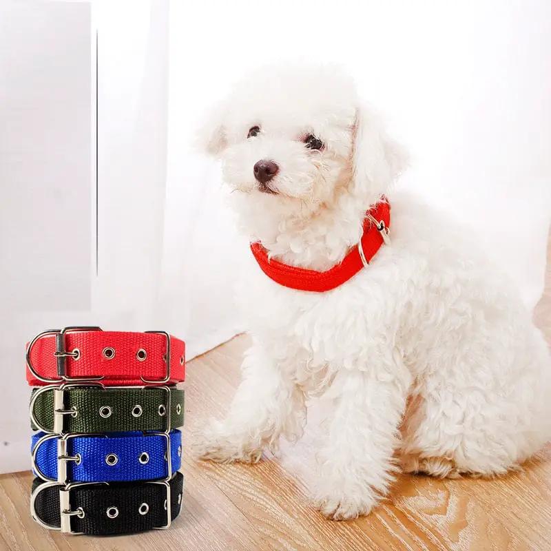 dealonline.co.nz dealonlinenz Nylon Dog Collar Multi Colours 4 * 70CM Nylon Dog Collar Multi Colours 4 * 70CM