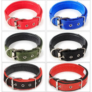 dealonline.co.nz dealonlinenz Nylon Dog Collar Multi Colours 4 * 70CM Nylon Dog Collar Multi Colours 4 * 70CM