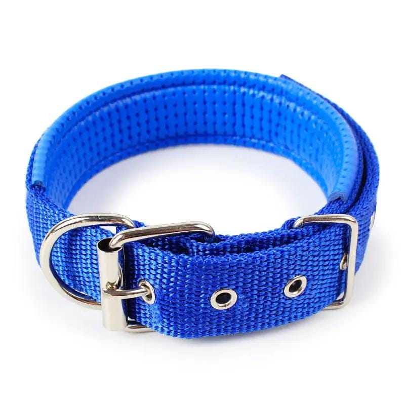 dealonline.co.nz dealonlinenz Nylon Dog Collar Multi Colours 4 * 70CM Nylon Dog Collar Multi Colours 4 * 70CM