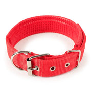 dealonline.co.nz dealonlinenz Nylon Dog Collar Multi Colours 4 * 70CM Nylon Dog Collar Multi Colours 4 * 70CM