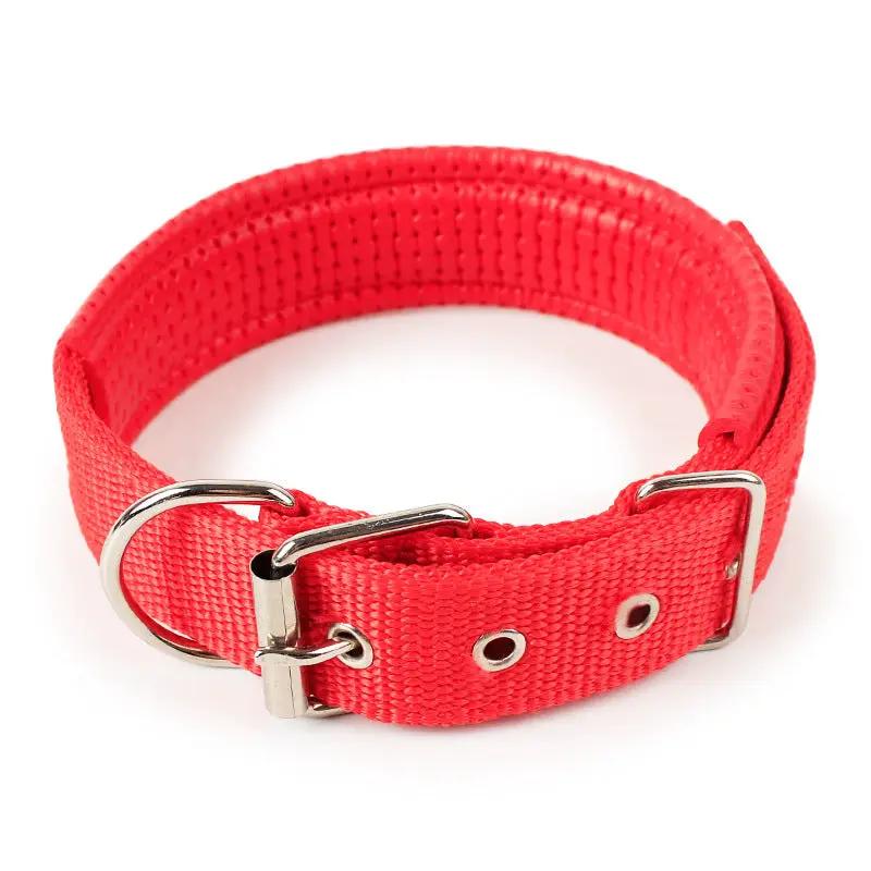 dealonline.co.nz dealonlinenz Nylon Dog Collar Multi Colours 4 * 70CM Nylon Dog Collar Multi Colours 4 * 70CM