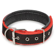dealonline.co.nz dealonlinenz Nylon Dog Collar Multi Colours 4 * 70CM Nylon Dog Collar Multi Colours 4 * 70CM