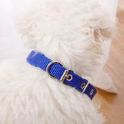 dealonline.co.nz dealonlinenz Nylon Dog Collar Multi Colours 4 * 70CM Nylon Dog Collar Multi Colours 4 * 70CM