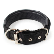 dealonline.co.nz dealonlinenz Nylon Dog Collar Multi Colours 4 * 70CM Nylon Dog Collar Multi Colours 4 * 70CM