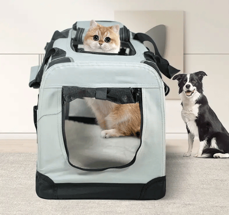 salelink.co.nz Unbranded Pet Carrier XL Pet Carrier XL | Action Outdoors NZ