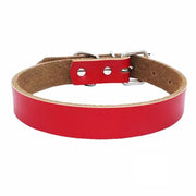 Red Genuine Cow Leather Dog Collar XS With Full Buckle – view 1