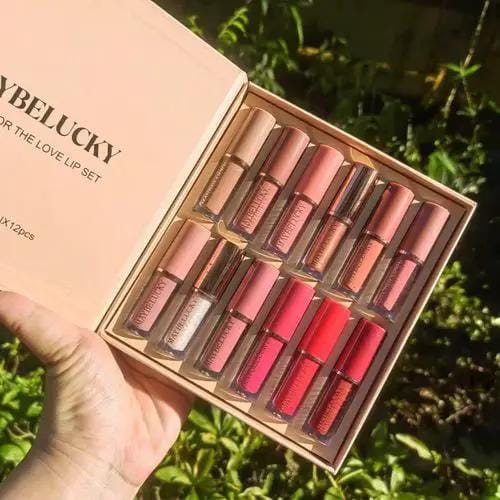 Poppy Gifts 12 Color Book Lip gloss Set Vegan Organic Non-Stick Cup Waterproof Velvet Matte Liquid Lipstick 12 Color Book Lip gloss Set Vegan Organic Non-Stick Cup Waterproof Velvet Matte Liquid Lipstick
