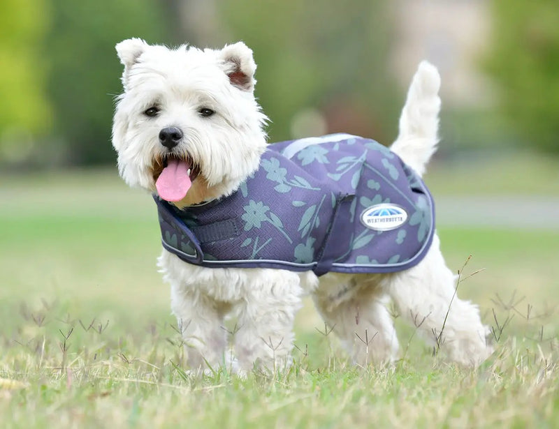 WeatherBeeta Clearance WeatherBeeta ComFiTec Premier Free Parka Dog Coat Medium WeatherBeeta ComFiTec Premier Free Parka Dog Coat Medium