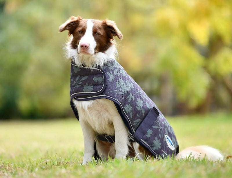 WeatherBeeta Clearance WeatherBeeta ComFiTec Premier Free Parka Dog Coat Medium WeatherBeeta ComFiTec Premier Free Parka Dog Coat Medium