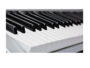 Electronic ORGAN KEYBOARD PIANO 61-Key Multi-Functional – view 8