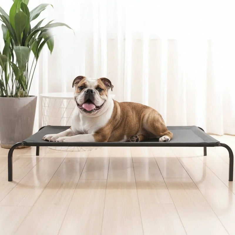 Pet Bed Dog Cat Bed Mesh Elevated Raised Indoor Sleeping Cot