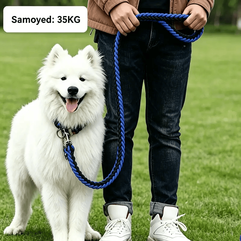 LARGE BLUE&RED Strong Dog Leash Climbing Rope Threaded Pet Training – view 3