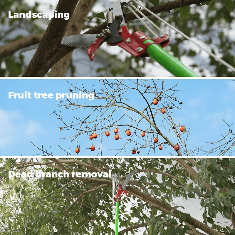 8M Detachable Pole Pruning Saw Tree Trimmer Shearing – view 5