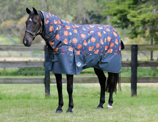 WeatherBeeta Clearance WeatherBeeta ComFiTec Essential Combo Neck Medium WeatherBeeta ComFiTec Essential Combo Neck Medium