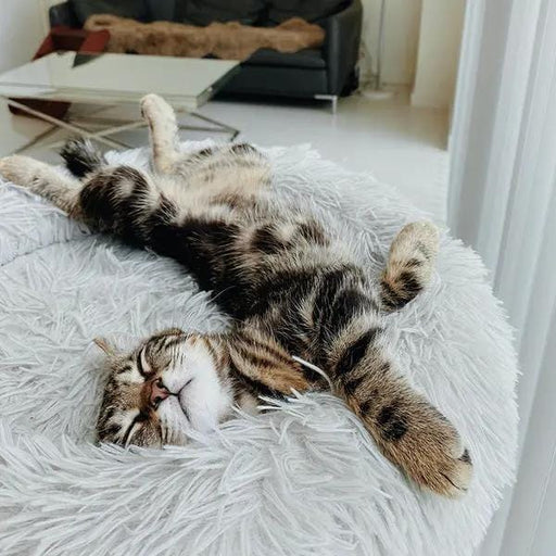 The Brooklyn Brooklyn® Deep Sleep Cat Bed Brooklyn Deep Sleep Calming Cat Bed for Anxiety