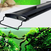 salelink.co.nz Unbranded fish tank lights led 30cm/33 leds fish tank lights led 30cm/33 leds | Action Outdoors NZ