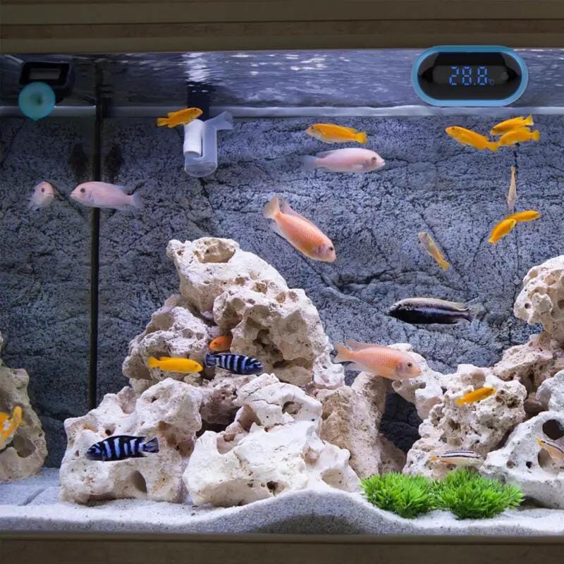 salelink.co.nz Unbranded Digital Aquarium Thermometer Digital Aquarium Thermometer | Action Outdoors NZ