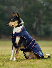 WeatherBeeta Outdoor coats WeatherBeeta ComFiTec Premier Deluxe Waterproof Dog Coat WeatherBeeta ComFiTec Premier Deluxe Waterproof Dog Coat