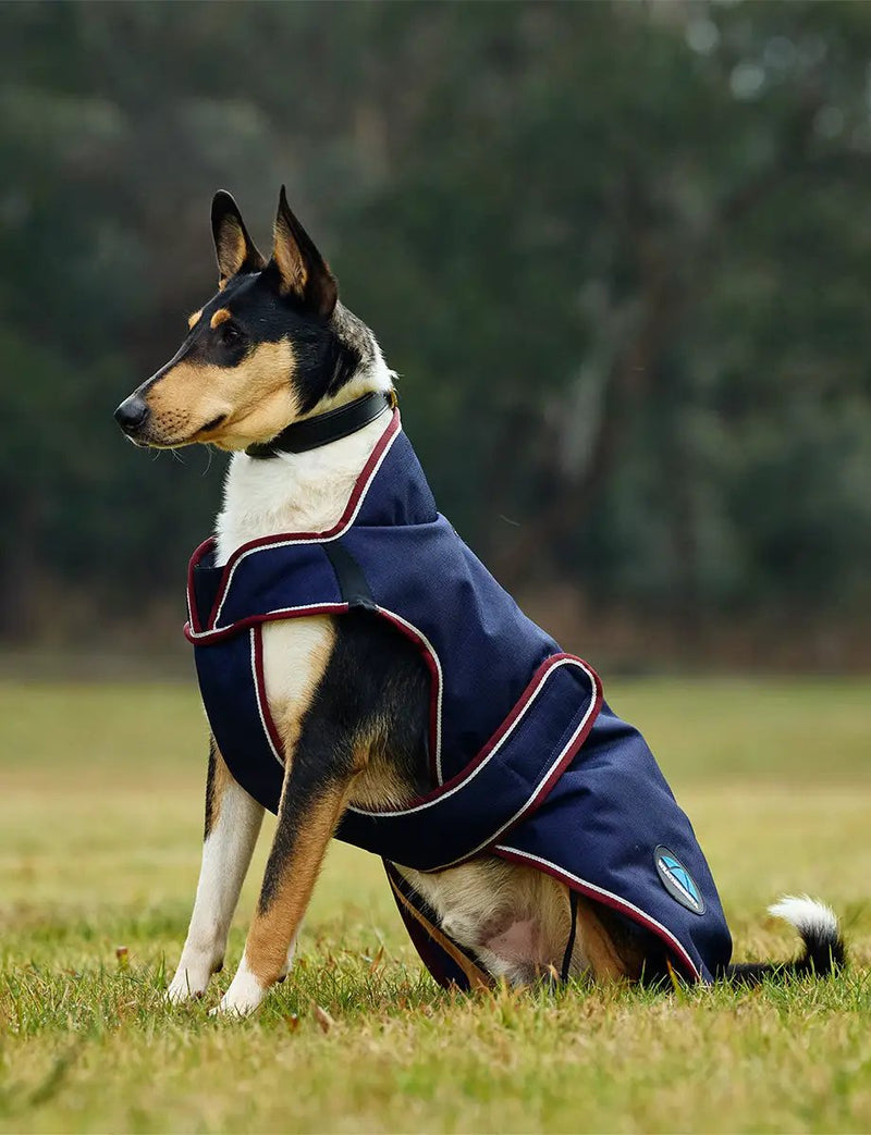 WeatherBeeta Outdoor coats WeatherBeeta ComFiTec Premier Deluxe Waterproof Dog Coat WeatherBeeta ComFiTec Premier Deluxe Waterproof Dog Coat