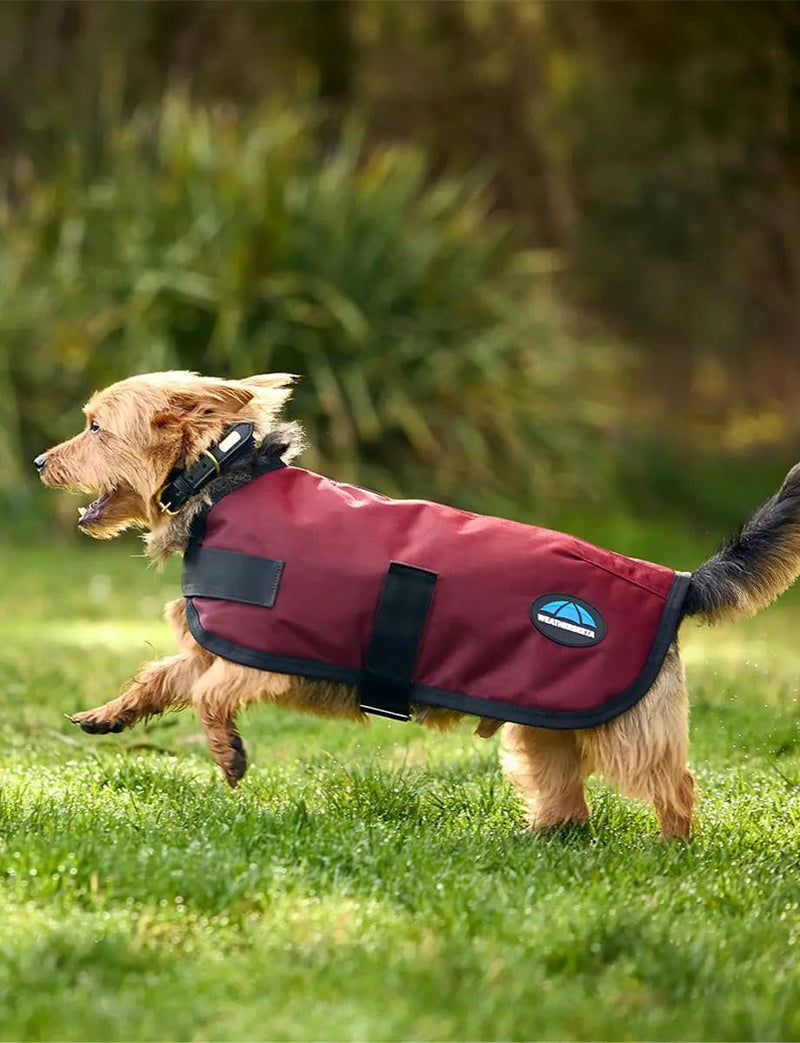 WeatherBeeta Outdoor coats WeatherBeeta ComFiTec Classic Waterproof Dog Coat WeatherBeeta ComFiTec Classic Waterproof Dog Coat