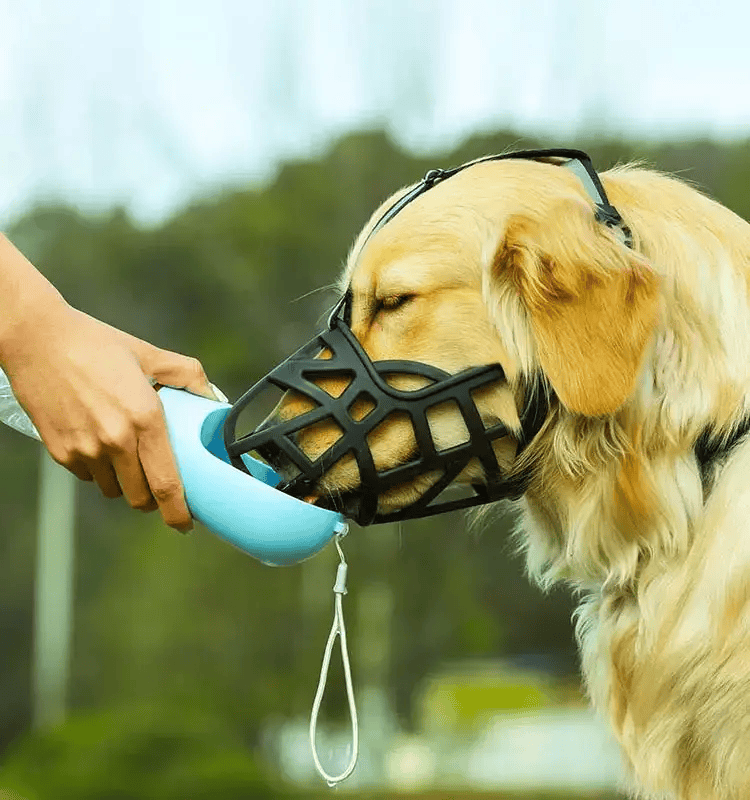 Dog Silicone Muzzle Prevents Chewing Biting Soft Basket Drinking L-XXL – view 2