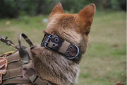 dealonline.co.nz dealonline.co.nz Heavy Duty Dog Collar XL, L Heavy Duty Dog Collar XL, L