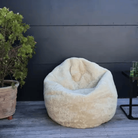 Classic Sheepskins Accessories Bean Bag Bean Bag