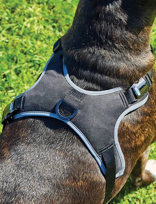 WeatherBeeta Clearance WeatherBeeta Elegance Dog Harness WeatherBeeta Elegance Dog Harness
